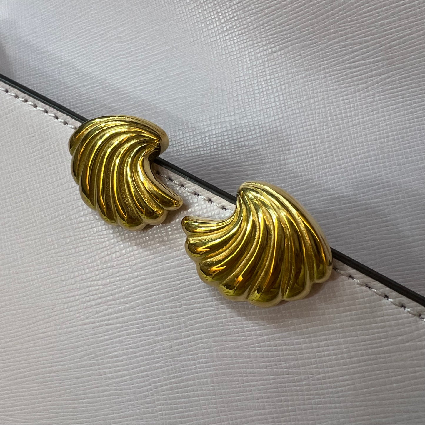 Gold shell Studs