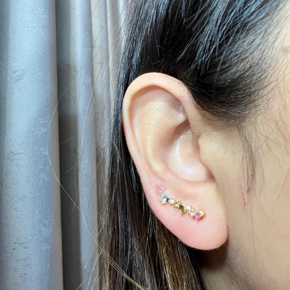 Multi Floral Studs