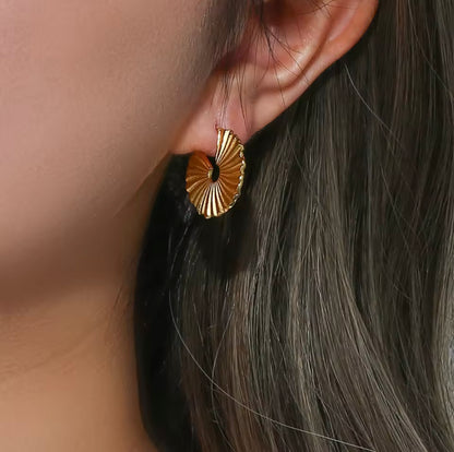 Disc Hoops